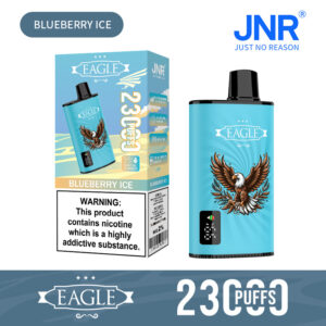 JNR Eagle 23000 Blueberry Ice